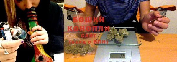 крисы Нея