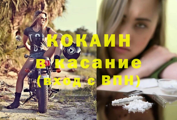 гидра Елизово