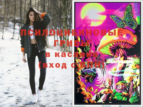 крисы Нея
