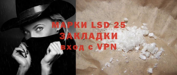 гидра Елизово