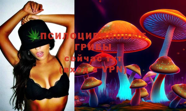 марки lsd Елабуга
