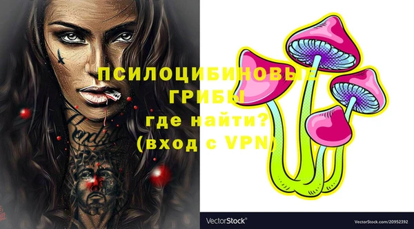 тгк Осинники