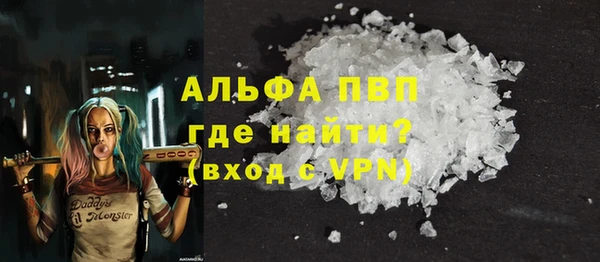 гидра Елизово