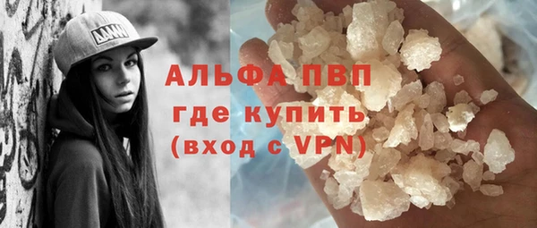 гидра Елизово